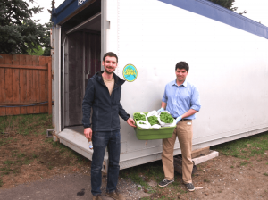 Alaska Farm Startups