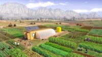 Agricultural startups utilizing shipping containers.