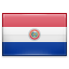 The national flag of Paraguay