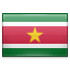 The national flag of Suriname