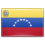 The national flag of Venezuela