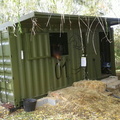 shipping-container-horse-stable-9
