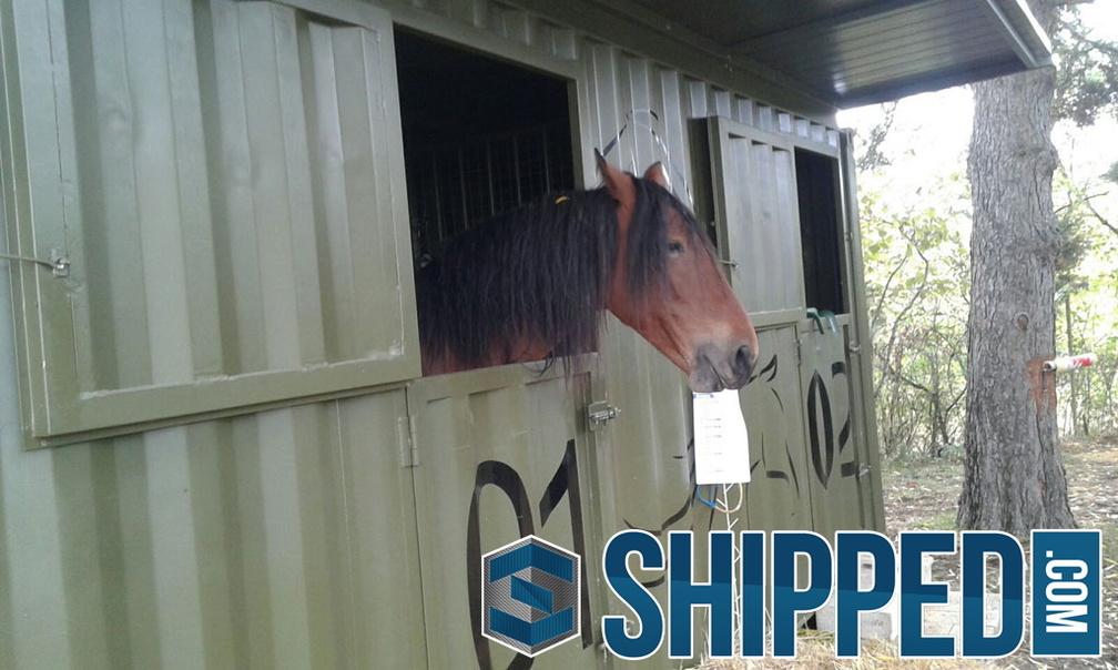shipping-container-horse-stable-10