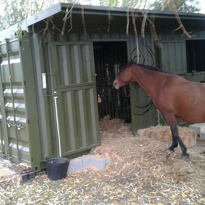 20' Shipping Container Horse Stable