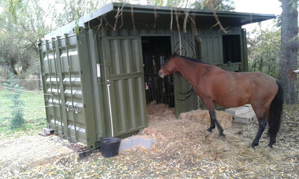 shipping-container-horse-stable-11