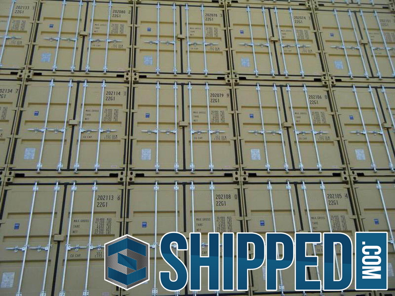 Standard-New-20-ft-tan-RAL-1001-shipping-container-018.jpg